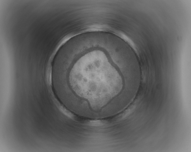 X0000112761227200908201431