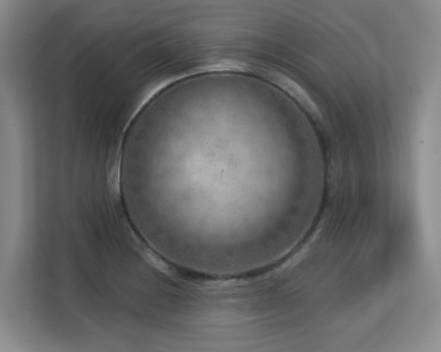 X0000112761228200908201431