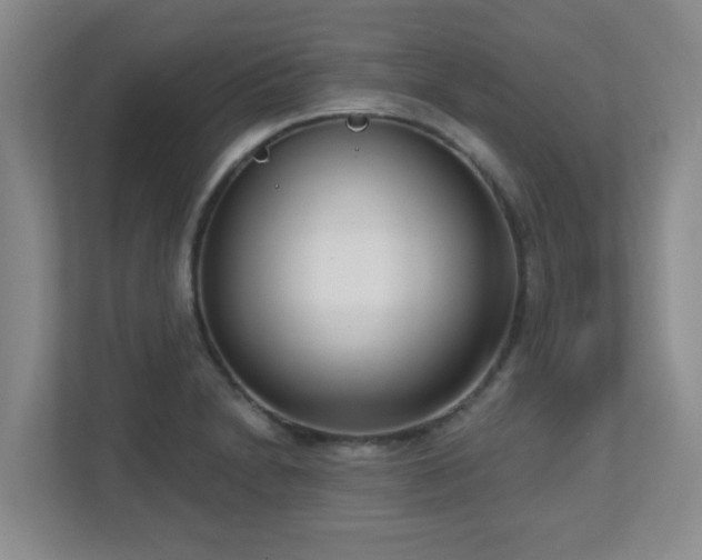 X0000112761230200908201431