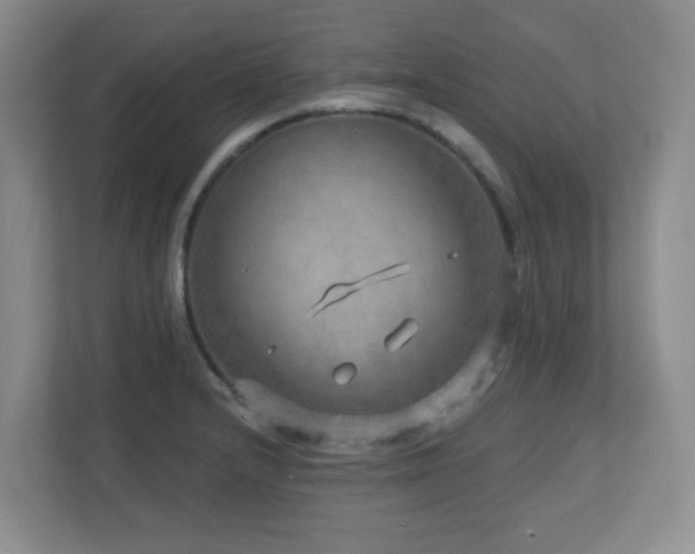 X0000112761232200908201431