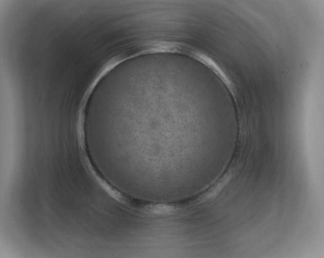 X0000112761235200908201431