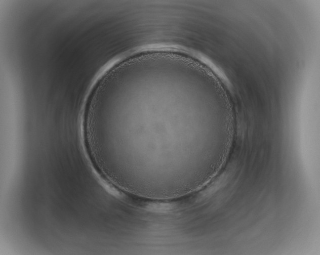 X0000112761237200908201431