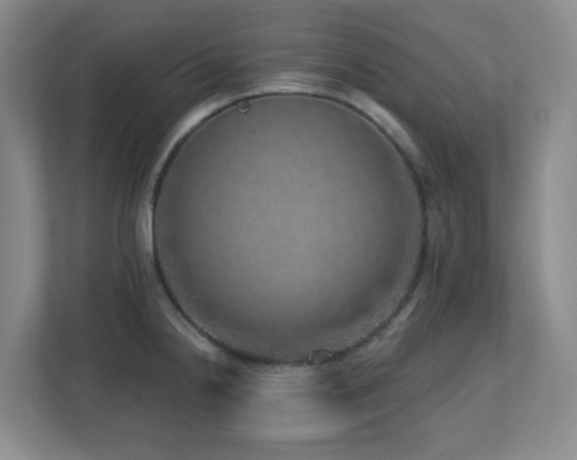 X0000112761238200908201431