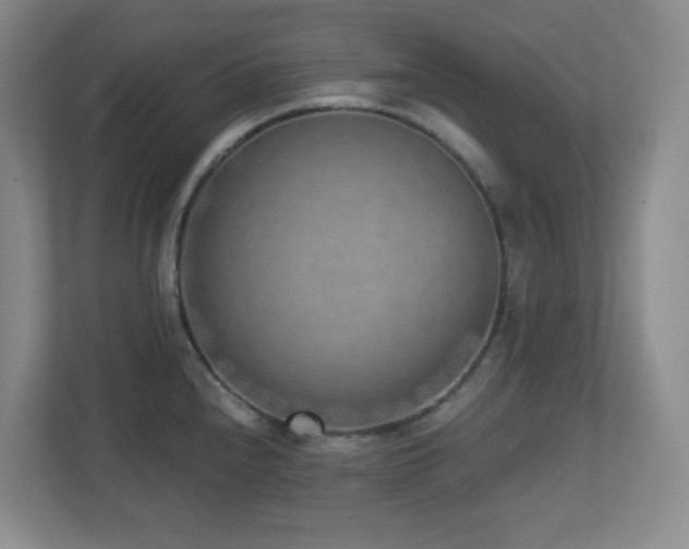 X0000112761240200908201431