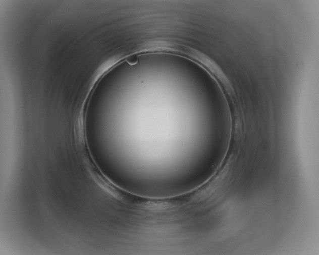 X0000112761242200908201431