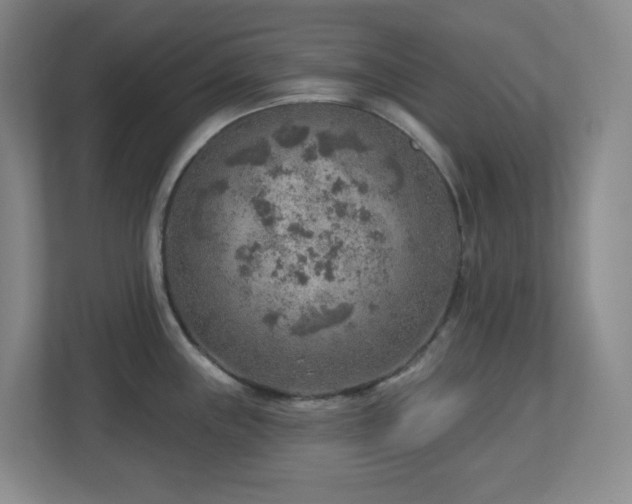 X0000112761243200908201431
