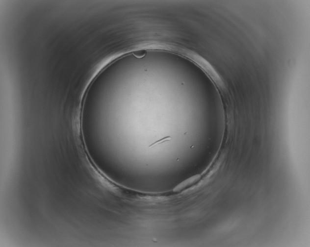 X0000112761244200908201431