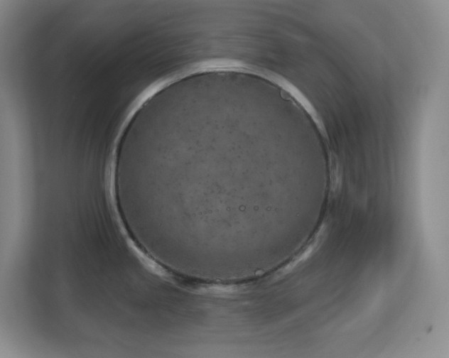 X0000112761245200908201431