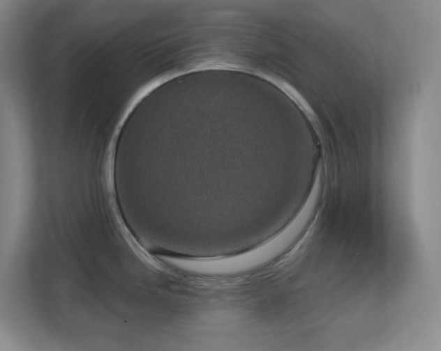 X0000112761246200908201431