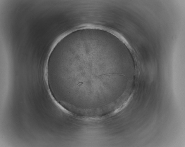 X0000112761247200908201431