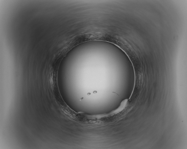 X0000112761250200908201431