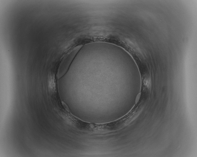 X0000112761252200908201431