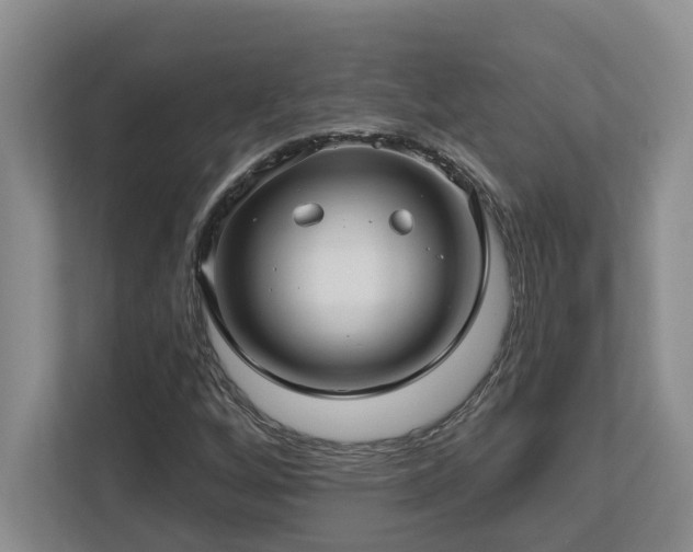 X0000112761256200908201431