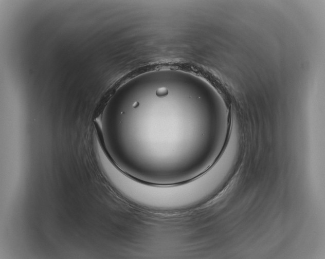 X0000112761257200908201431