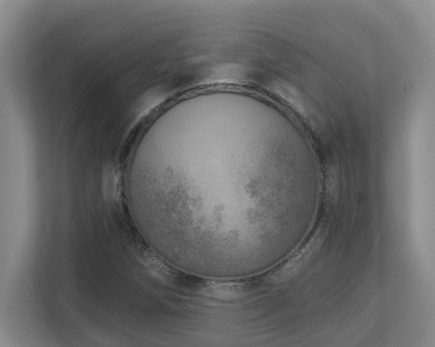 X0000112761258200908201431
