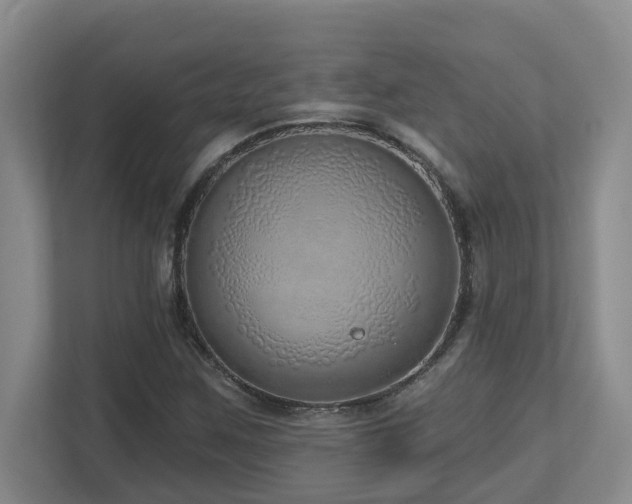 X0000112761259200908201431