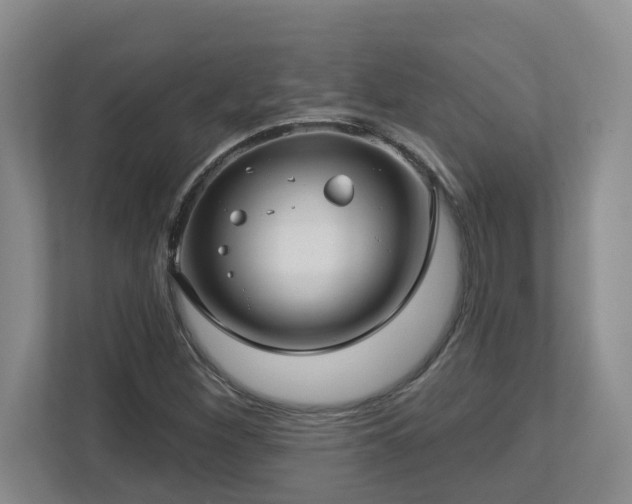 X0000112761260200908201431