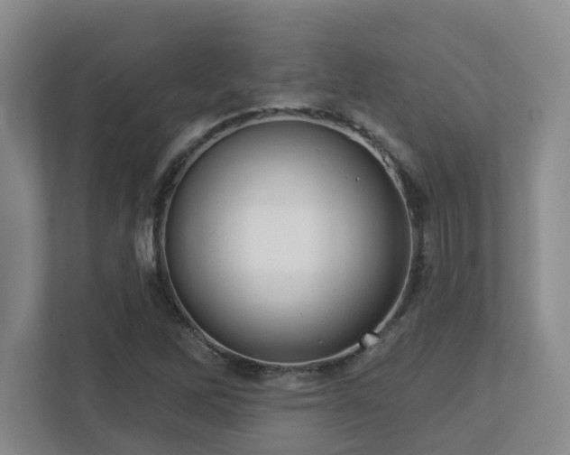 X0000112761262200908201431