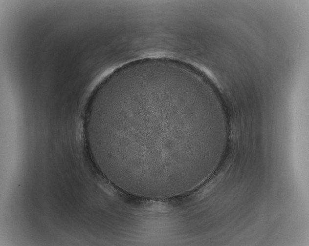 X0000112761263200908201431