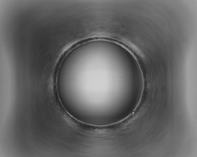 X0000112761264200908201431