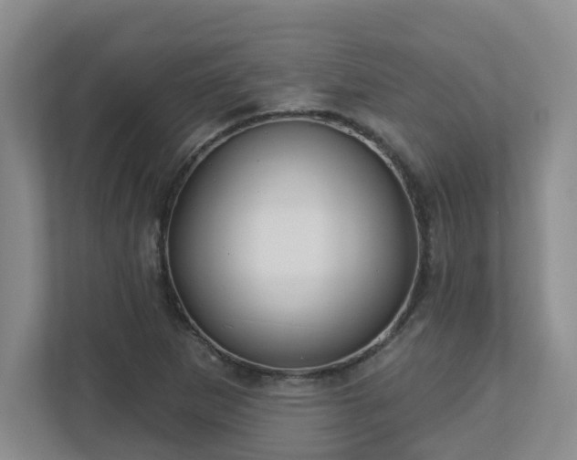 X0000112761265200908201431
