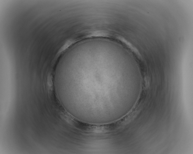X0000112761266200908201431