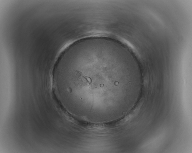 X0000112761267200908201431