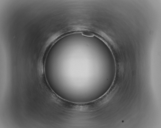 X0000112761269200908201431