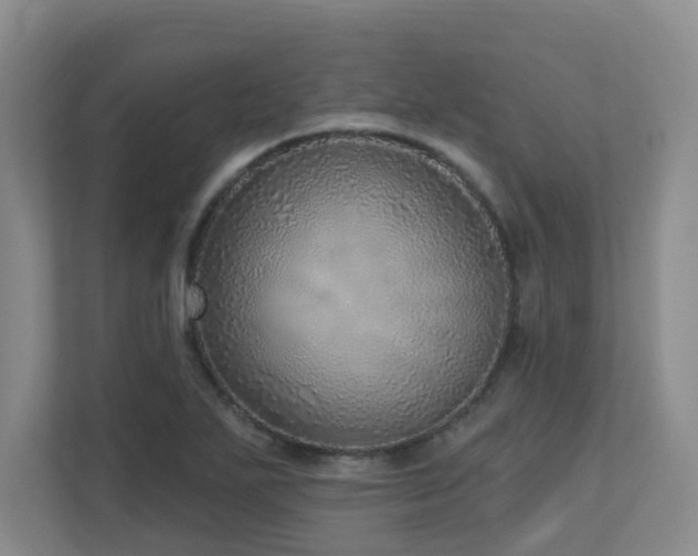 X0000112761271200908201431