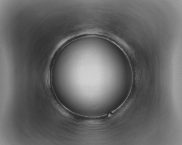 X0000112761272200908201431