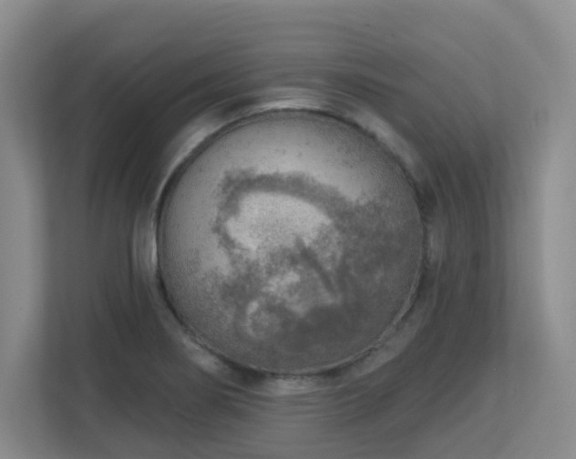 X0000112761274200908201431