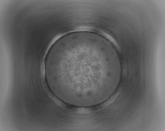 X0000112761275200908201431