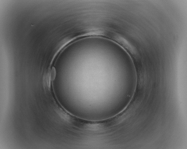 X0000112761276200908201430