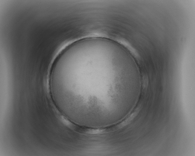 X0000112761278200908201430