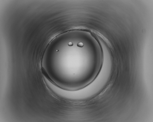 X0000112761281200908201430