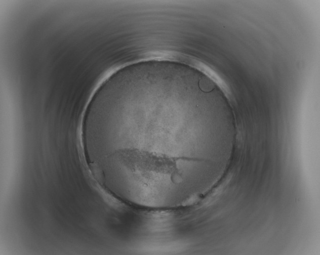 X0000112761283200908201430