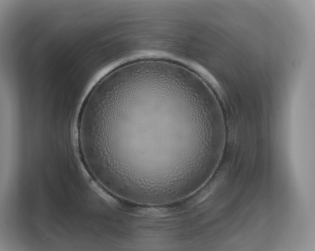 X0000112761287200908201430