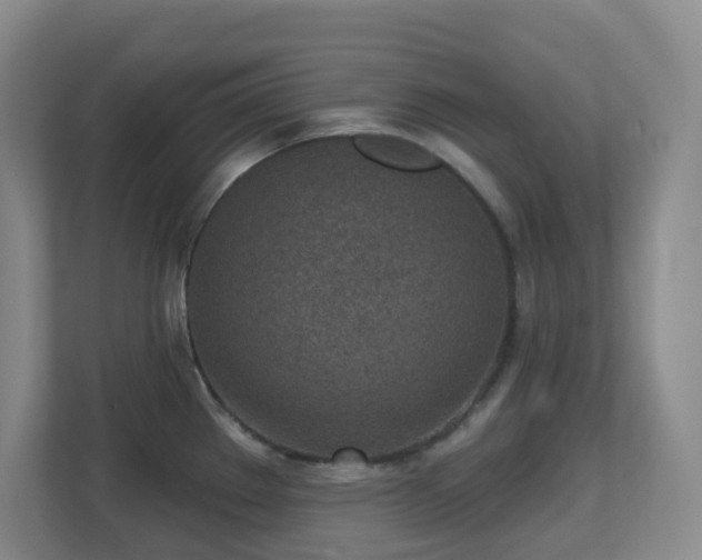 X0000112761289200908201430