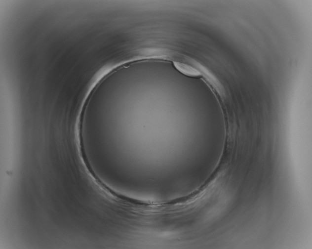 X0000112761291200908201430