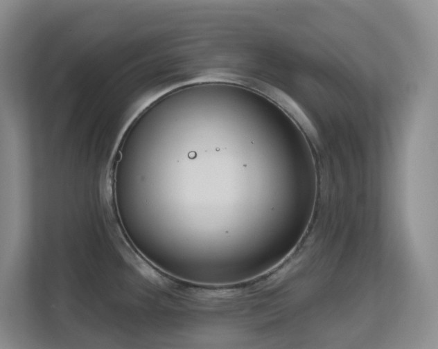 X0000112761292200908201430