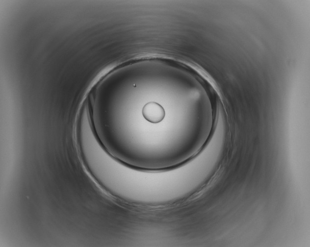 X0000112761293200908201430