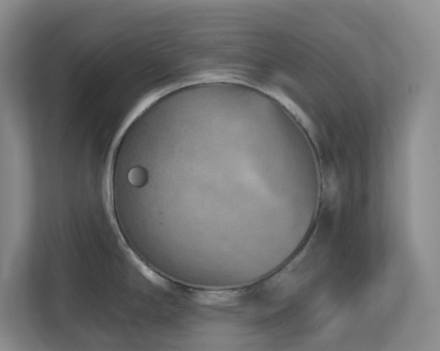X0000112761294200908201430