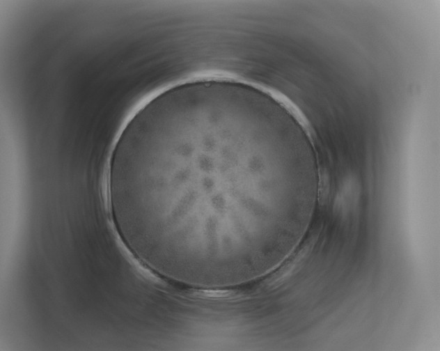 X0000112761295200908201430