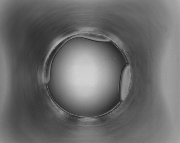 X0000112761296200908201430