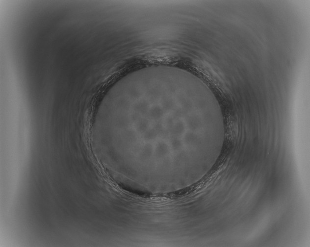 X0000112761297200908201430