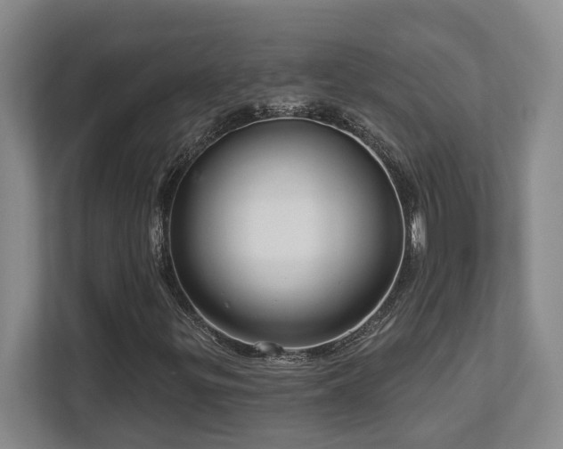 X0000112761299200908201430