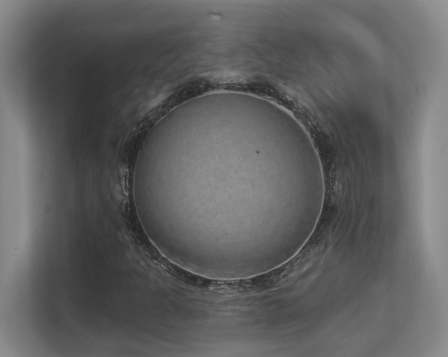 X0000112761301200908201430