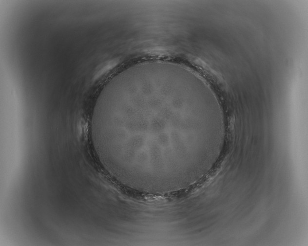 X0000112761302200908201430