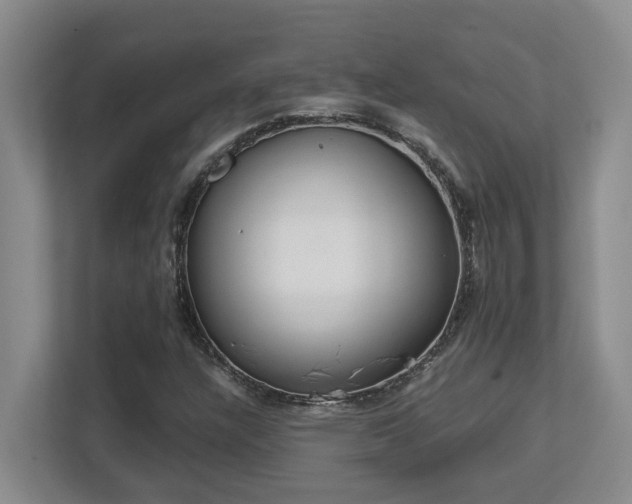X0000112761304200908201430