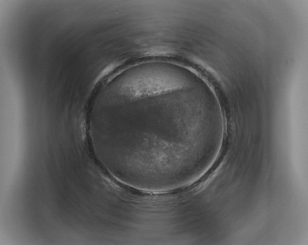 X0000112761306200908201430